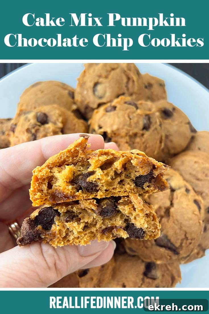 Pinterest picture of Cake Mix Pumpkin Chocolate Chip Cookies with the text of the title at the top.