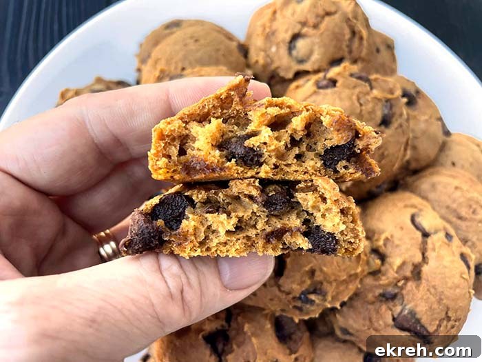A plate of pumpkin chocolate chip cookies with a hand held above holding two cookie halves.