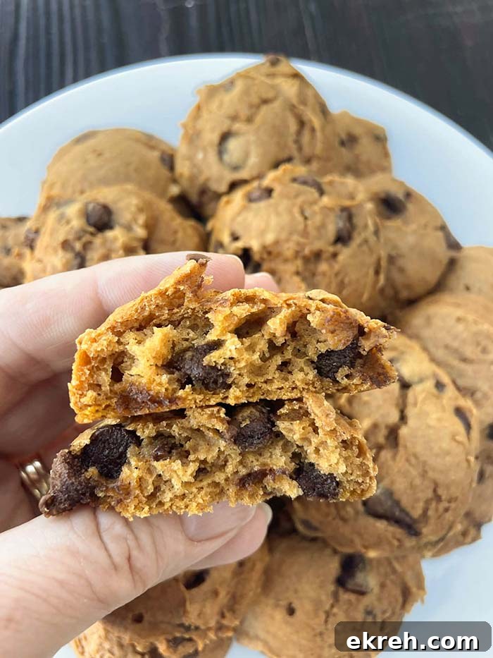 Two halves of a pumpkin chocolate chip cookie held above a plate of pumpkin chocolate chip cookies.