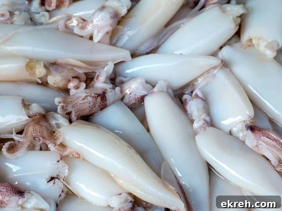 Squid in a pile.