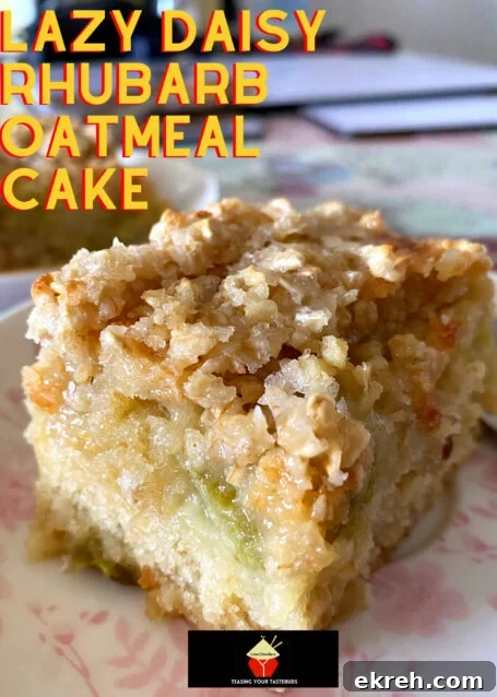 Lazy Daisy Rhubarb Oatmeal Cake Recipe 2 Lazy Daisy Rhubarb Oatmeal Cake