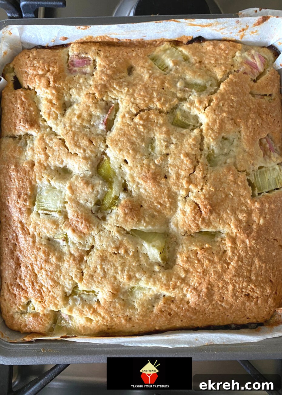 Lazy Daisy Rhubarb Oatmeal Cake Recipe 9 Baked Lazy Daisy cake