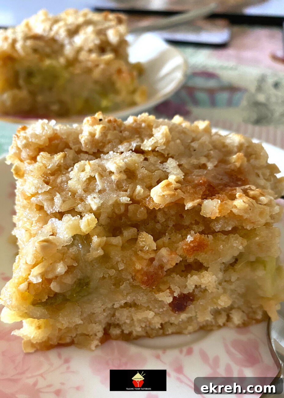 Lazy Daisy Rhubarb Oatmeal Cake Recipe 3 Close-up of Lazy Daisy Rhubarb Oatmeal Cake