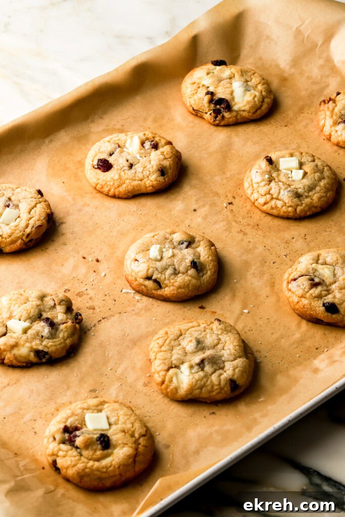 Chewy White Chocolate Cranberry Cookies 12 cookies finished baking