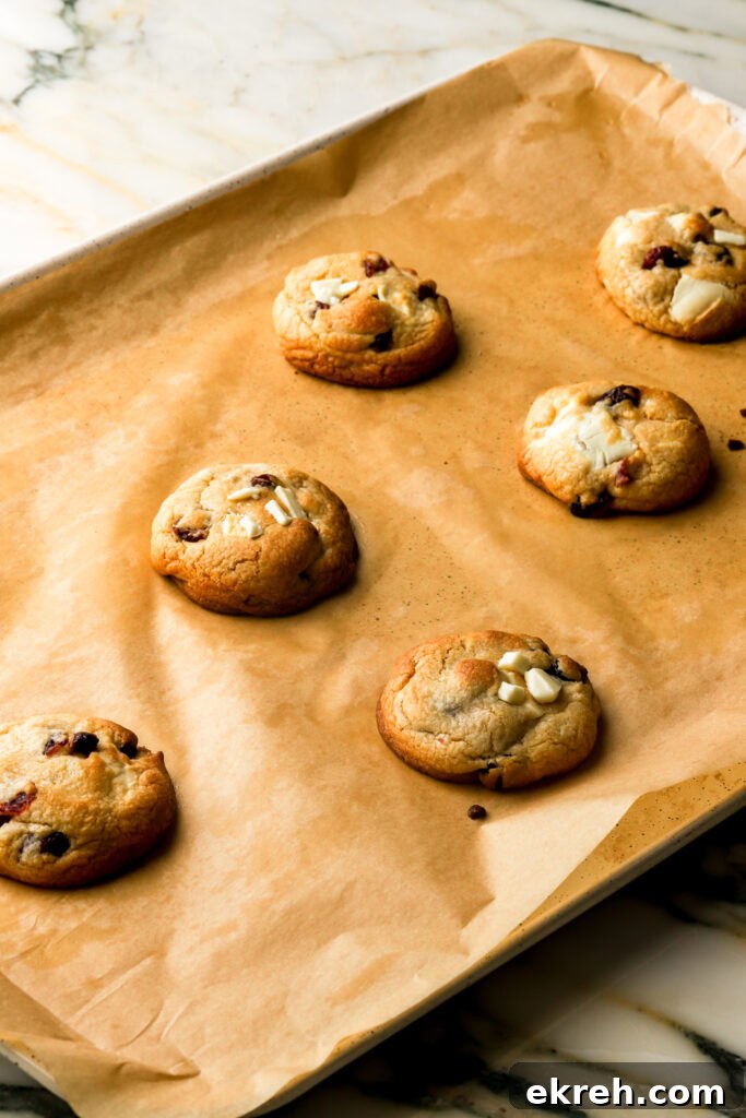 Chewy White Chocolate Cranberry Cookies 13 cookies finished baking