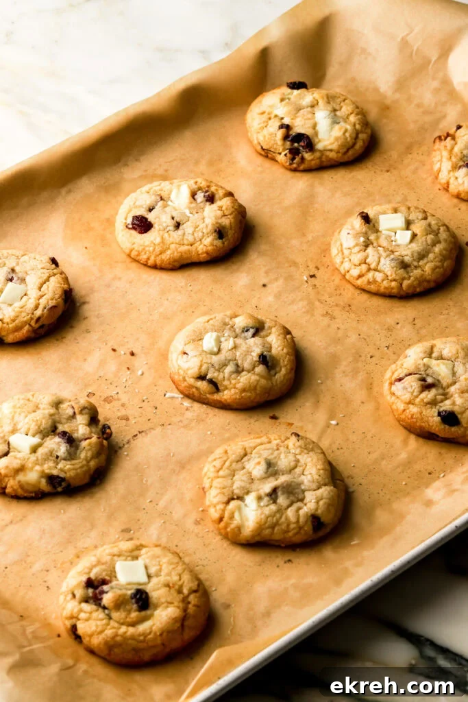 Chewy White Chocolate Cranberry Cookies 14 cookies finished baking