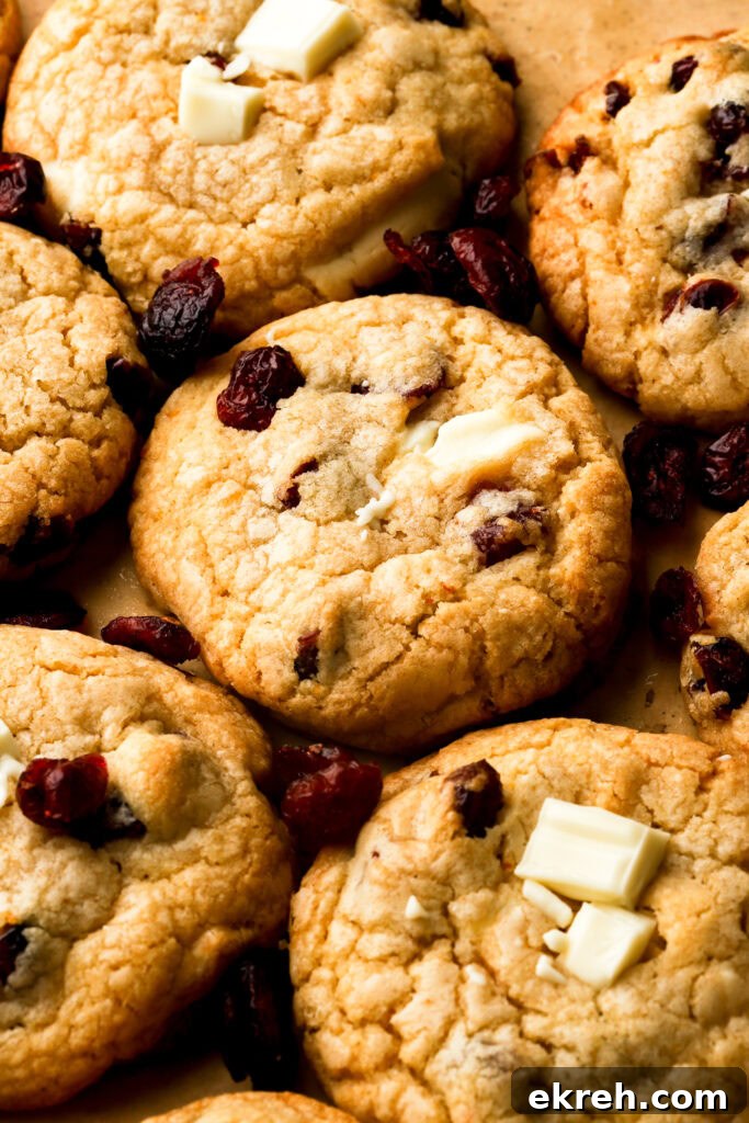 Chewy White Chocolate Cranberry Cookies 15 white chocolate cranberry cookies on a tray