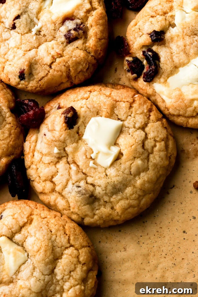 Chewy White Chocolate Cranberry Cookies 17 white chocolate cranberry cookies on a tray