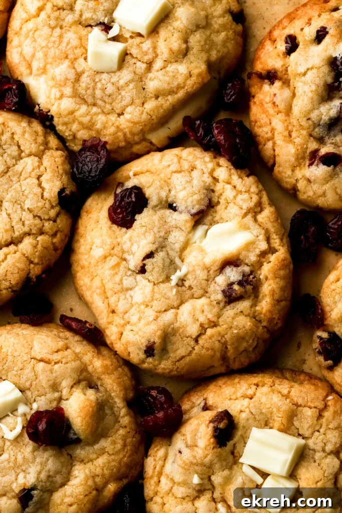 Chewy White Chocolate Cranberry Cookies 3 white chocolate cranberry cookies on a tray