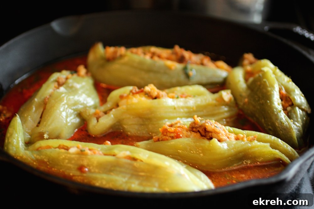 Pepinos Colombianos rellenos