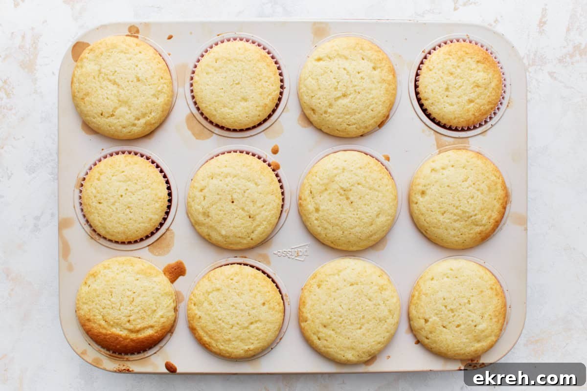 Baked cupcakes in a cupcake tin.