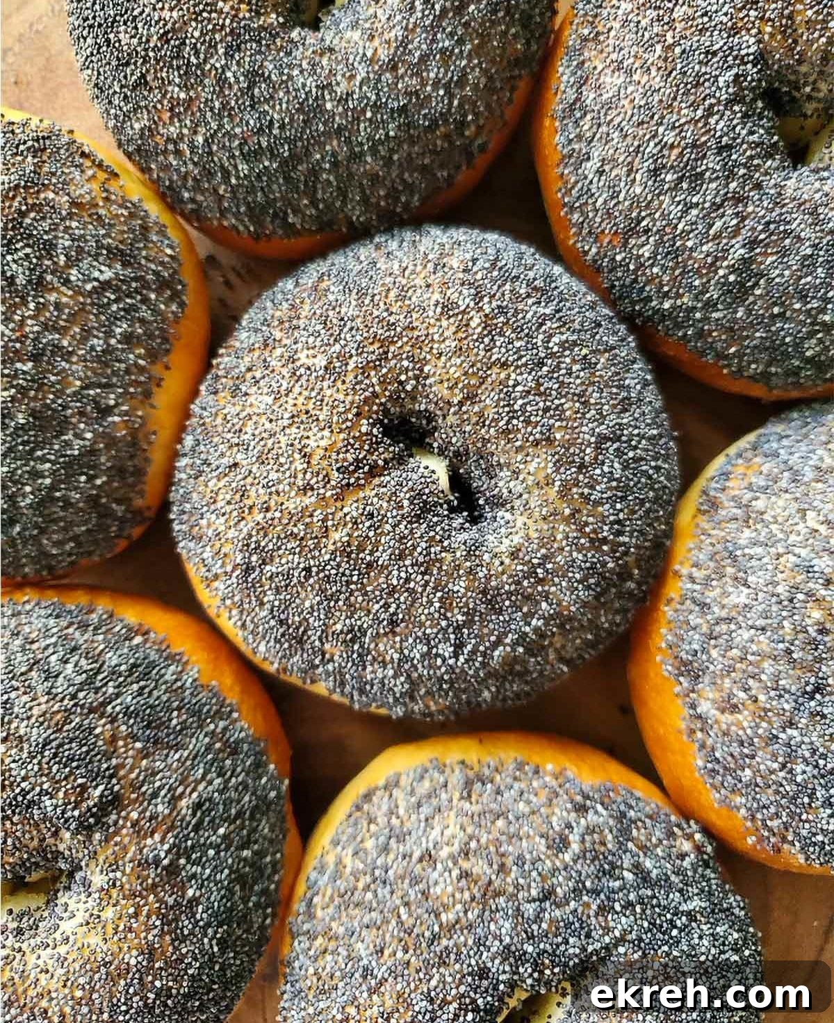Seven sourdough bagels topped with poppy seeds.