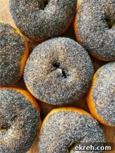 Seven sourdough bagels topped with poppy seeds.