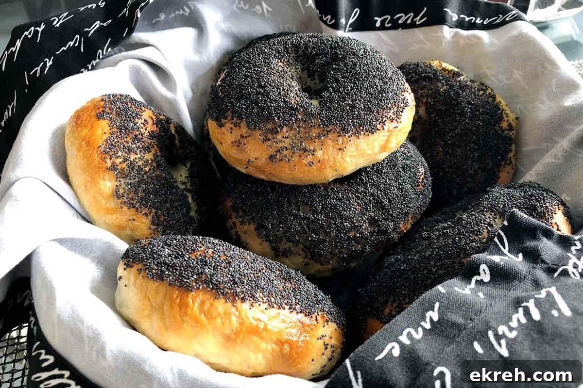 A basket of sourdough bagels topped with poppy seeds.