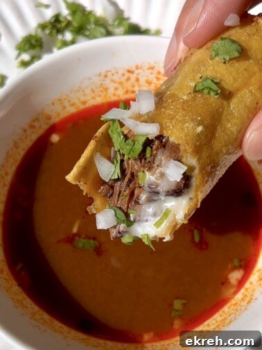 Plate of golden crispy cheesy birria taquitos with consommé