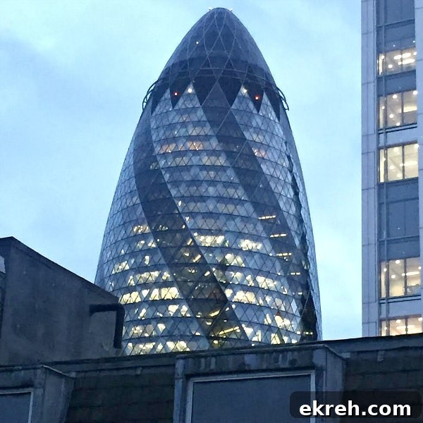 Inside the Bull and the Hide: London Hotel Review 14 Gherkin
