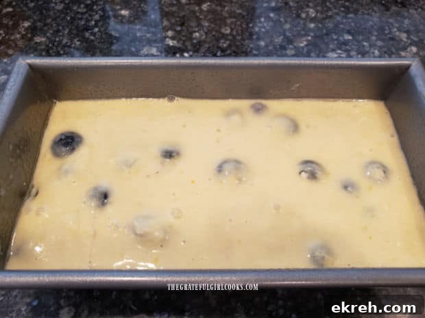 Blueberry breakfast loaf batter in a greased loaf pan, ready for baking.