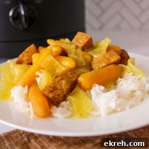 Plate of coconut curry sausage and vegetables on a bed of rice in front of a slow cooker.