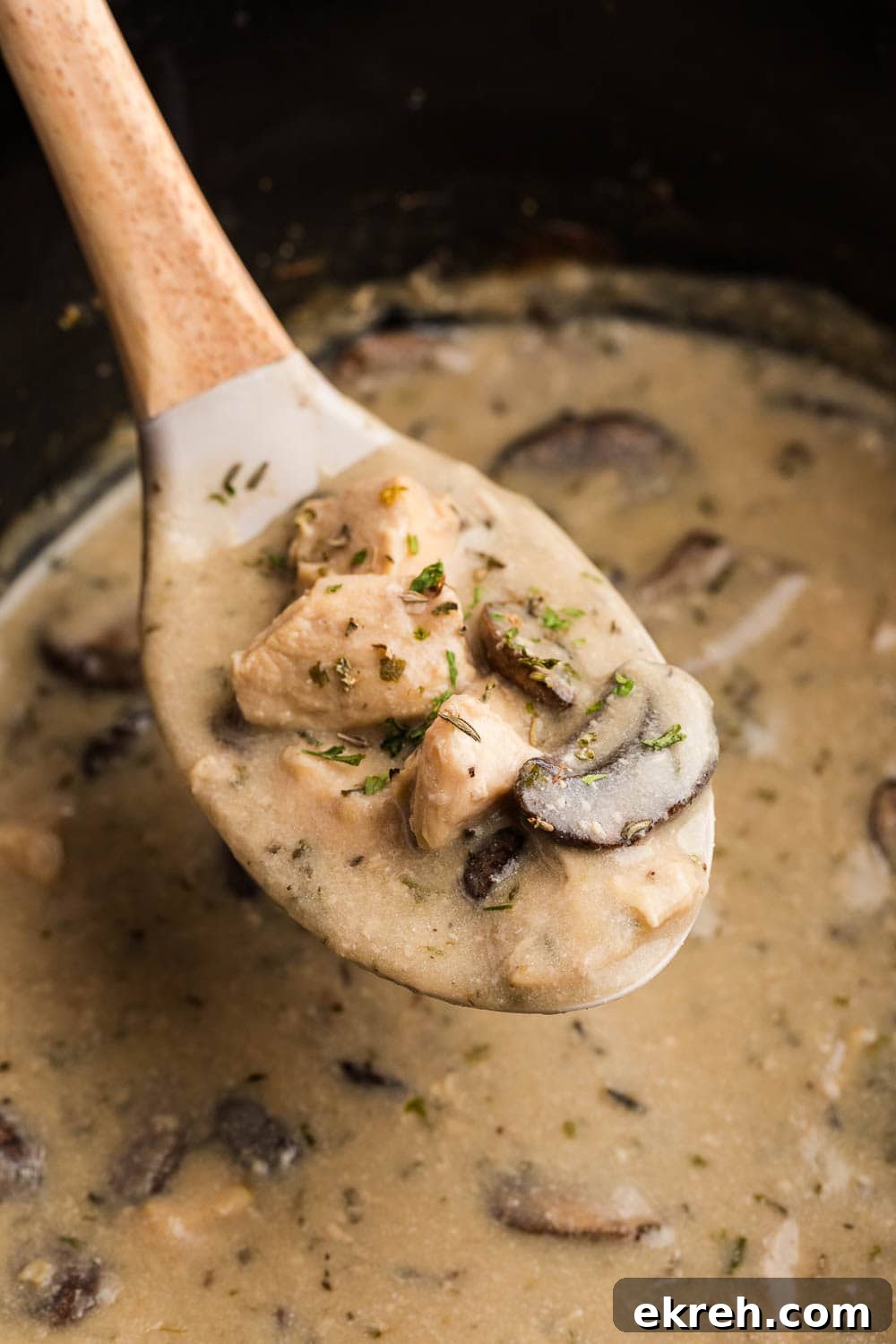 wooden spoon scooping chicken mushroom and seasonings