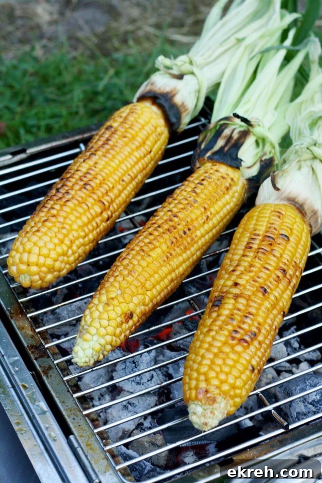 Grilled Corn on the Cob with Creamy Avocado Dill Dressing 3 Perfectly Grilled Corn on the Cob is very juicy and pairs so well with creamy vegan avocado dill dressing. Easy and impressive recipe for your summer barbecue!
