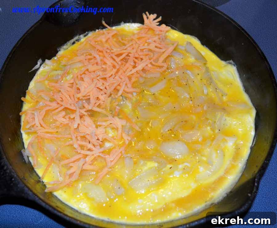 Omelette in Skillet