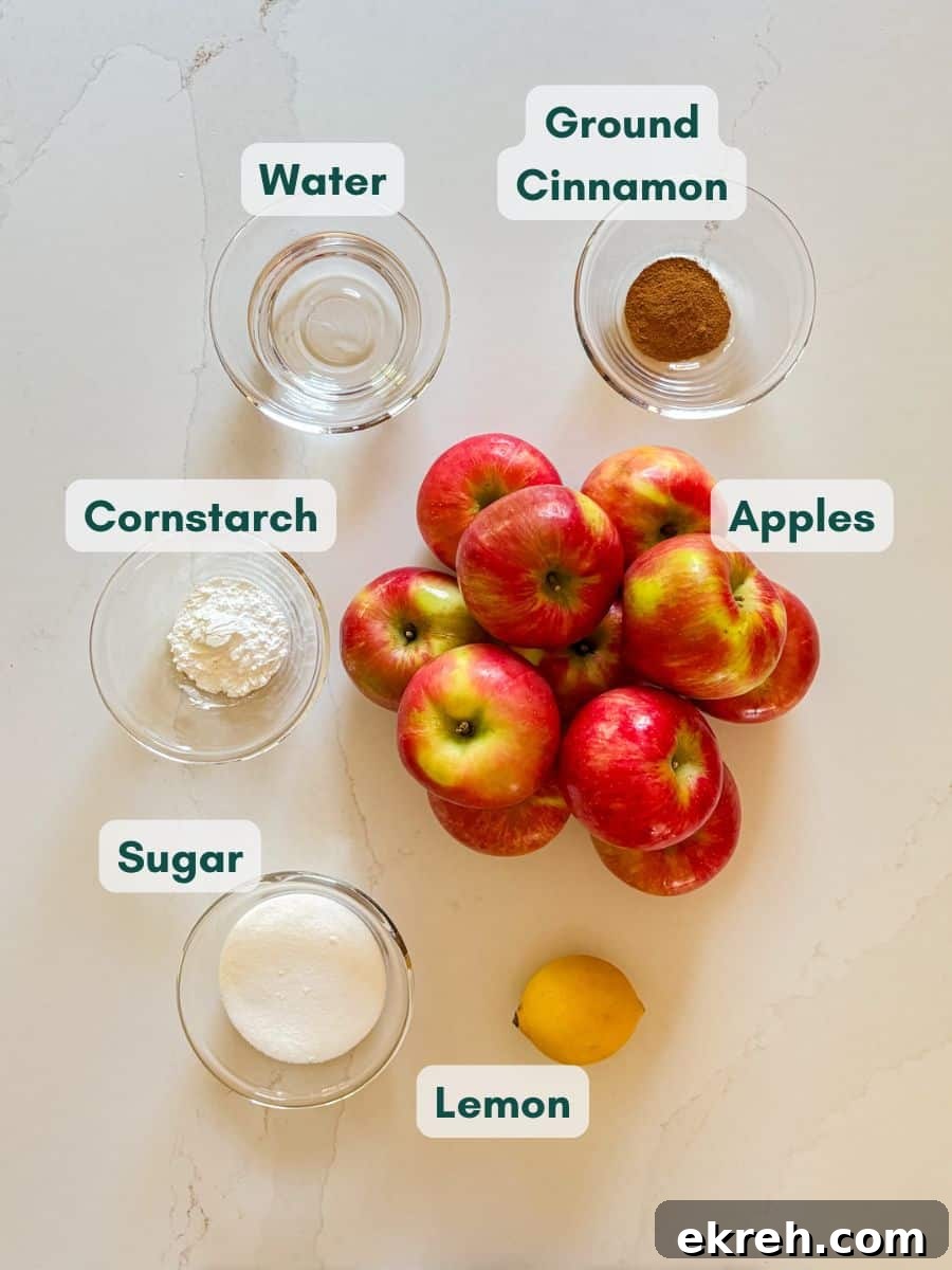 How to Make Apple Pie Filling from Scratch 4 An overhead image of labeled recipe ingredients.