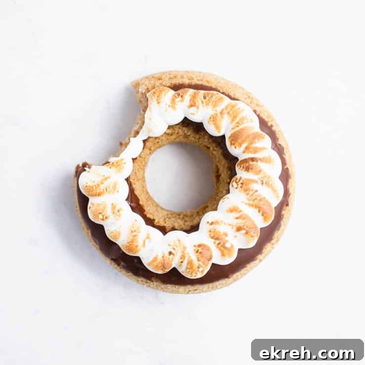 S'mores Donuts Recipe: Chocolate, Marshmallow and Graham 6 s'more doughnut with a bite taken out of it