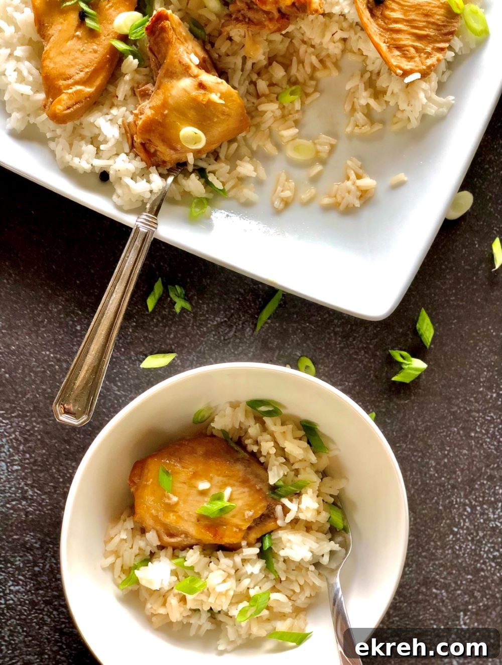 Slow cooker with chicken adobo