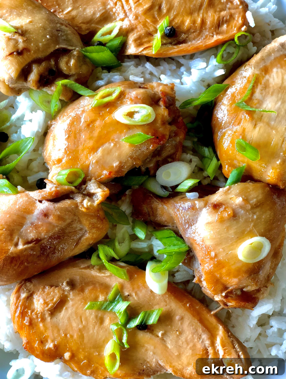 Served chicken adobo with rice and scallions