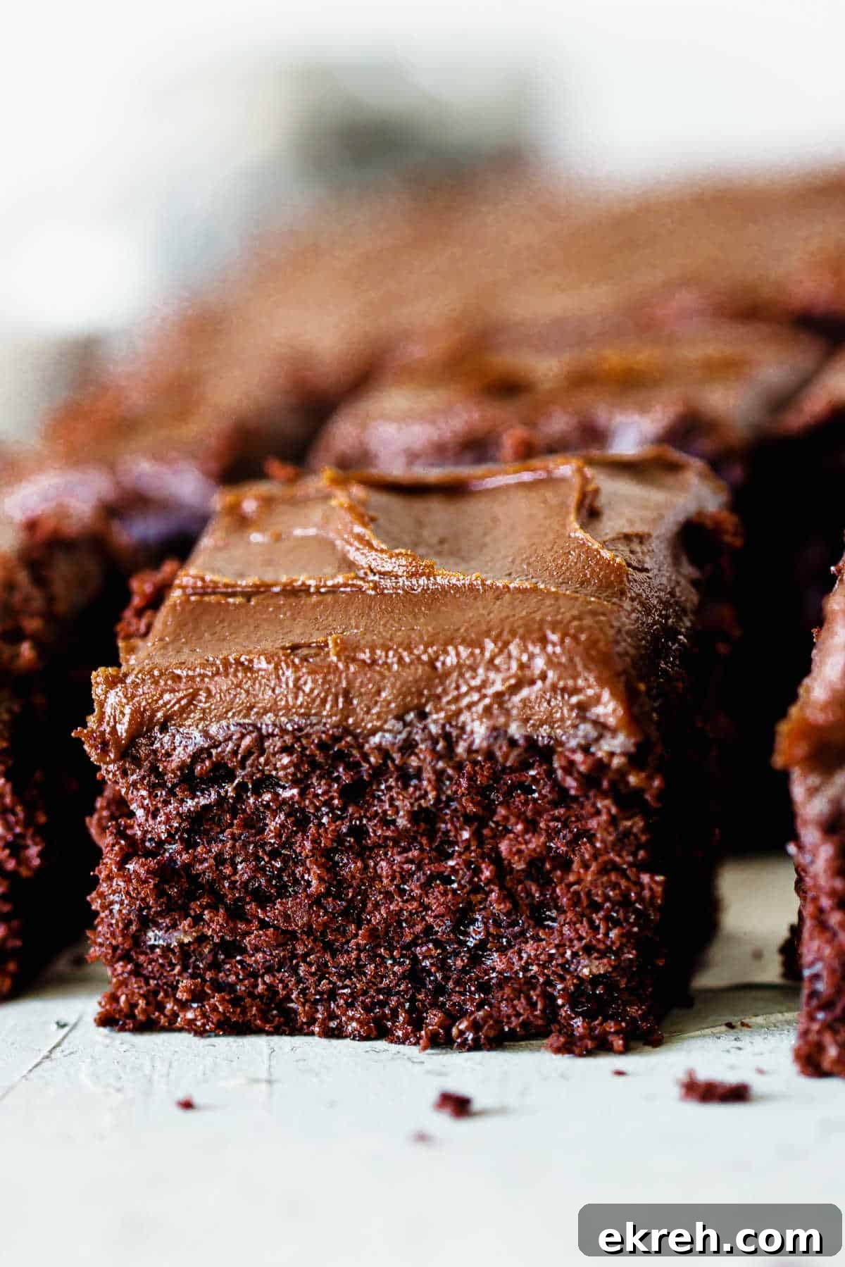 Close-up square of chocolate potato cake on light blue surface