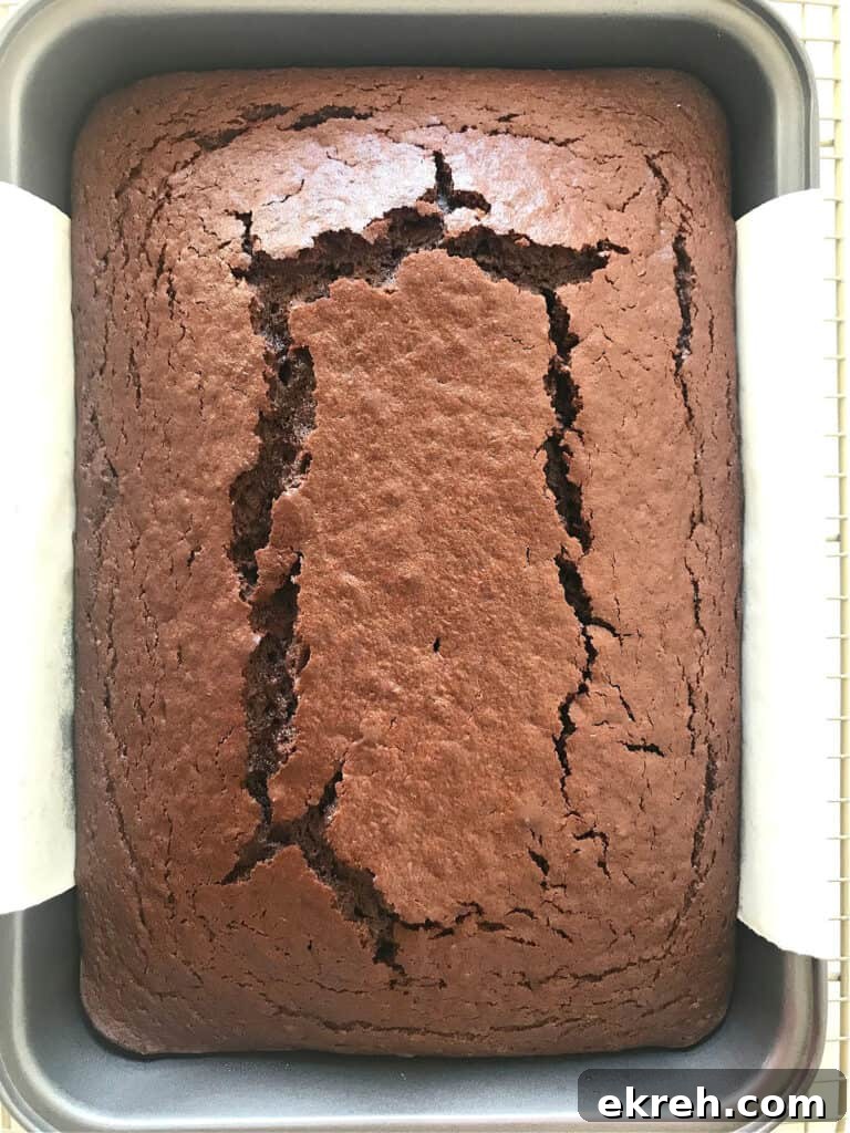 Baked chocolate cake in a rectangular pan. Top view.