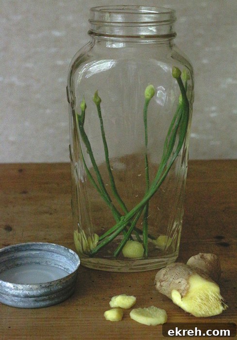 Add the garlic chives first towards the wall of the glass jar, then pack in cucumbers
