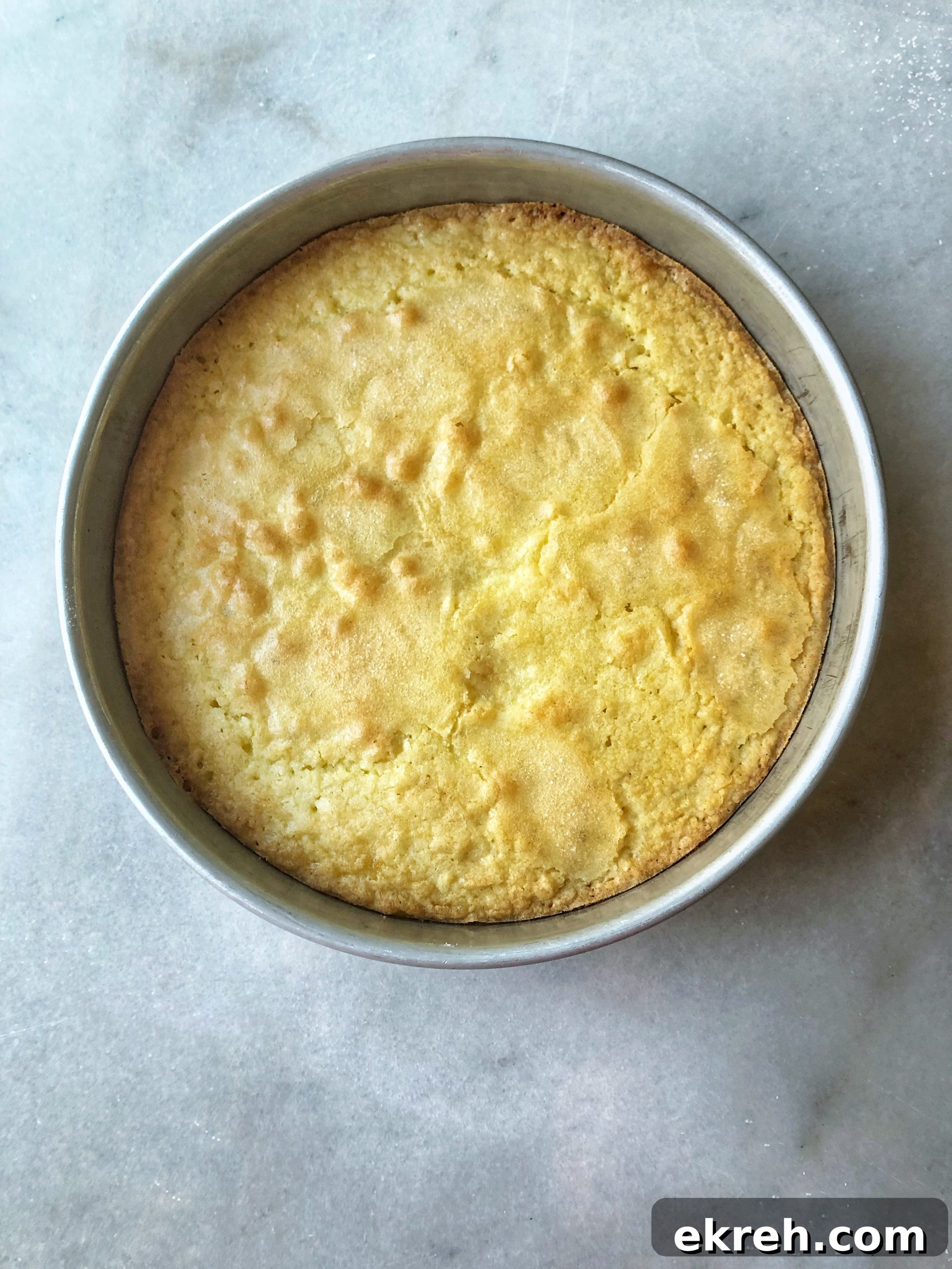 moist dense shortbread cake in a round pan