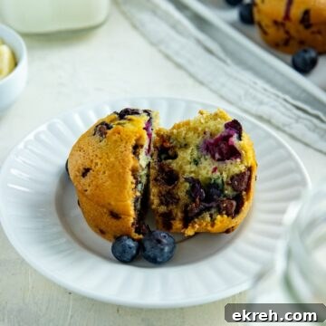 One baked muffin cut in half on a white plate with two fresh blueberries on the side.
