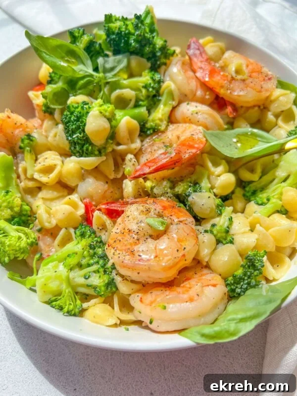 Pasta e Ceci Recipe: Classic Italian Pasta with Chickpeas 5 Shrimp and Broccoli Pasta
