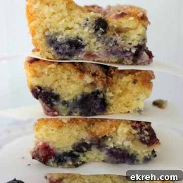 gluten-free blueberry boy bait