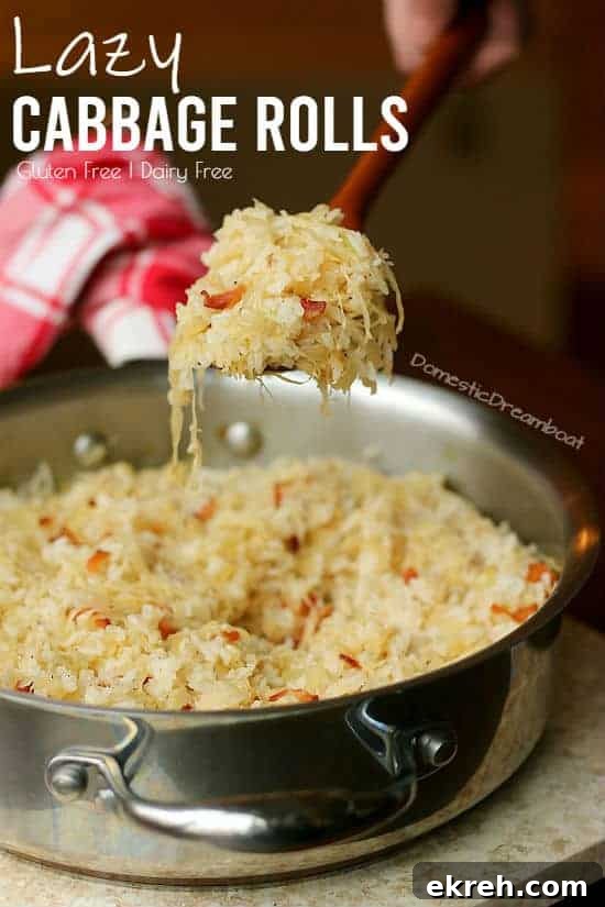 Deconstructed Cabbage Roll Skillet Recipe 10 Lazy cabbage rolls in spoon with pot