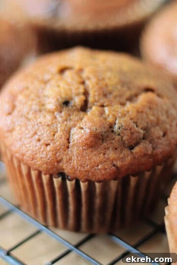 Pumpkin muffins on cooling rack.