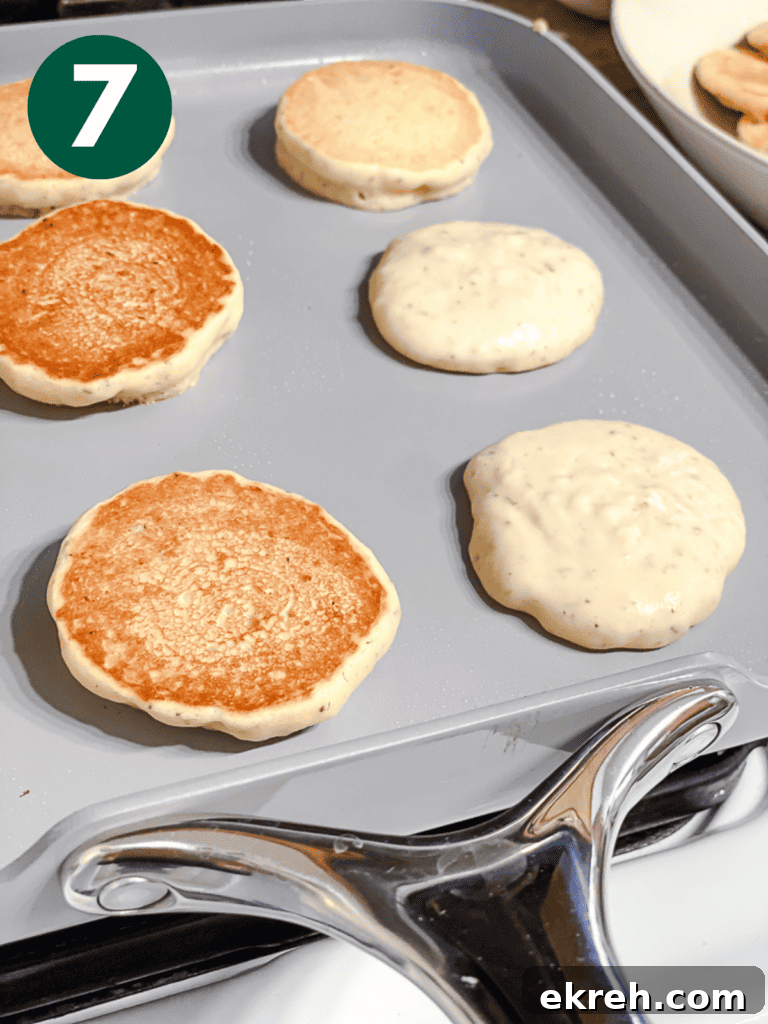 Fluffy Vegan Pancakes: Regular and Mini Recipes 9 golden mini pancakes