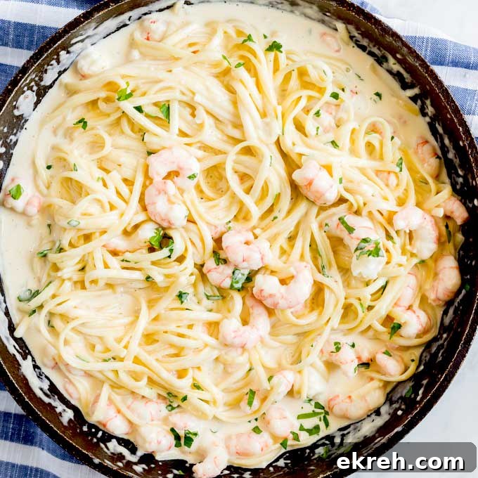 Parmesan pasta with shrimp in a skillet
