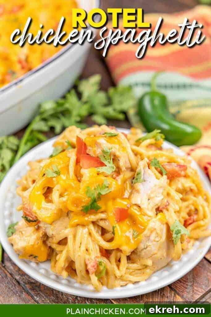 plate of chicken spaghetti with rotel with text overlay