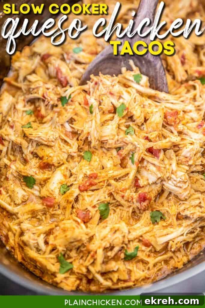 slow cooker of cheesy chicken taco meat