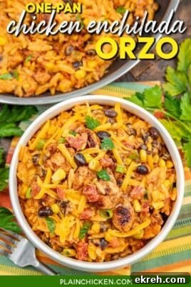 bowl of chicken enchilada orzo on a table with text overlay