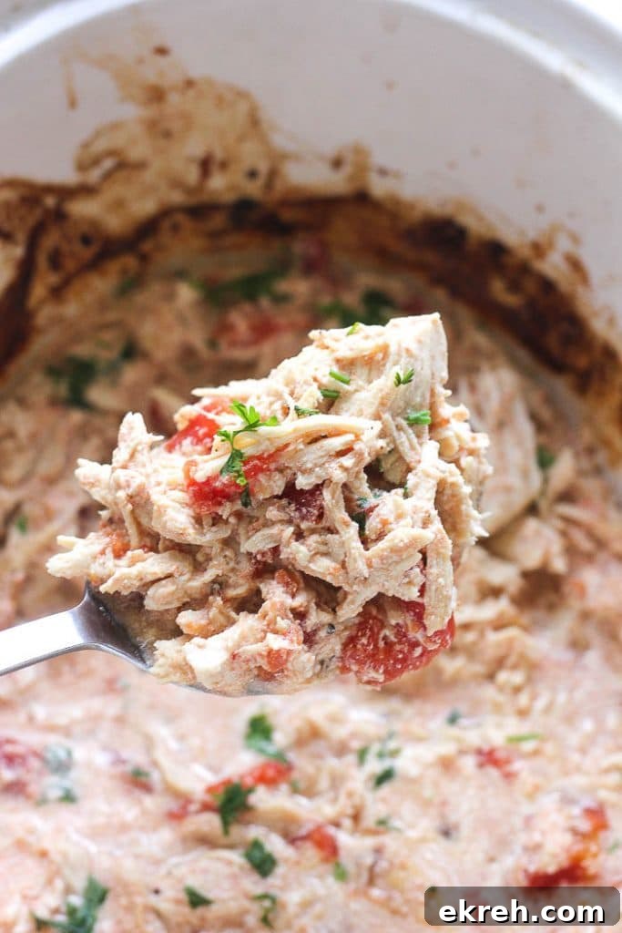 20 Affordable Keto Meals for Low-Cost Meal Prep 11 Slow Cooker Mexican Chicken