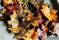 Autumn Gumpaste Leaves Tutorial for Cake Decorating