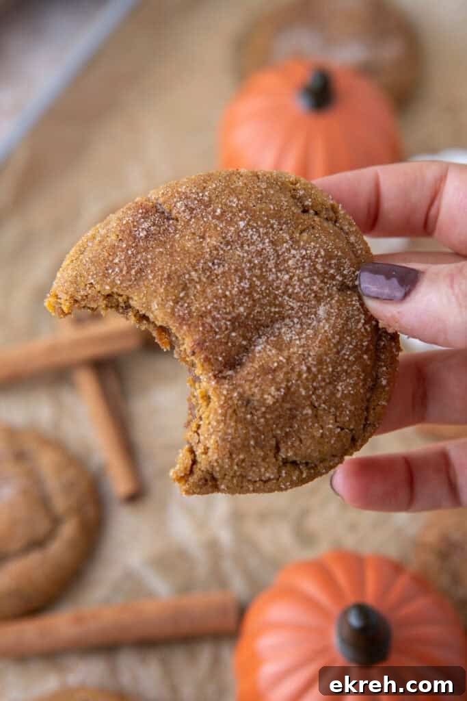 Chewy Brown Butter Pumpkin Snickerdoodle Cookies Recipe 10 Brown Butter pumpkin snickerdoodle cookies held up by a hand