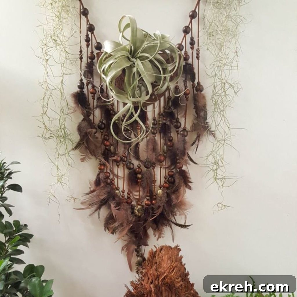 Boho-Styled Leather Tillandsia Planter
