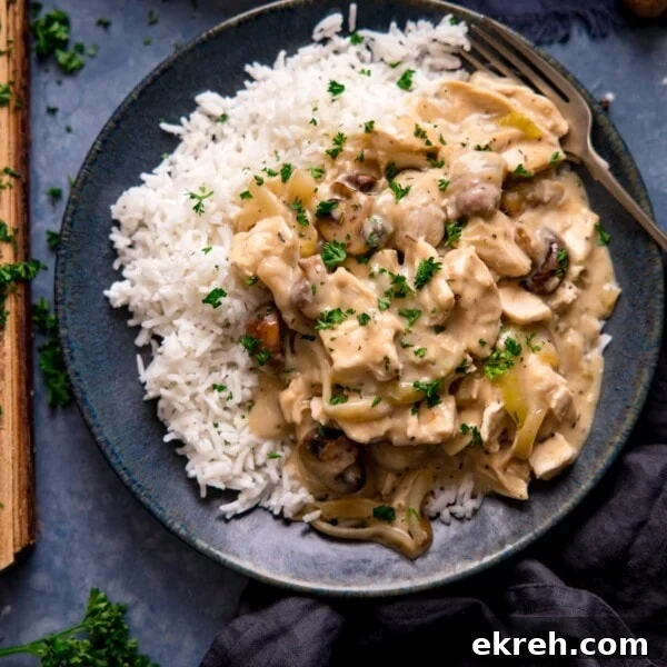 Chicken ala king with rice on a dark plate