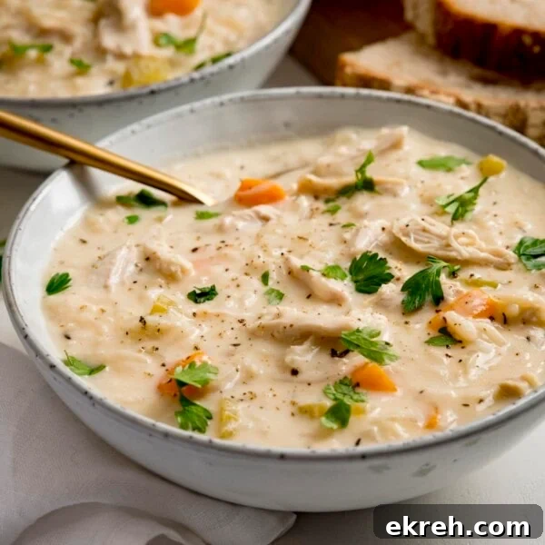 Bowl of chicken and rice soup