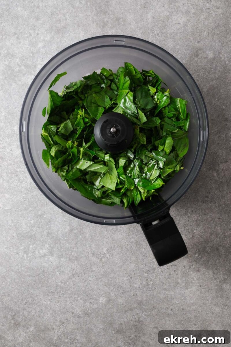 Fresh basil leaves covered with olive oil in a food processor bowl.